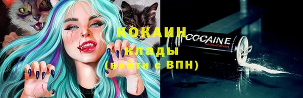 твердый Бородино