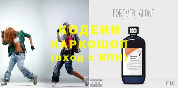 твердый Бородино