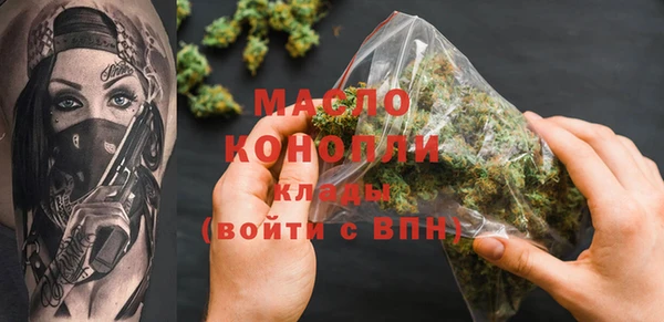 твердый Бородино