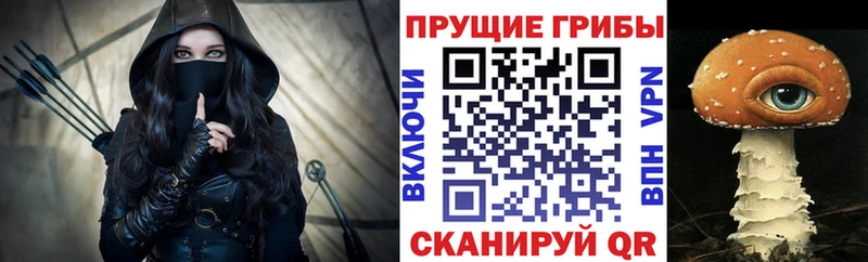 Галлюциногенные грибы Psilocybe Макушино