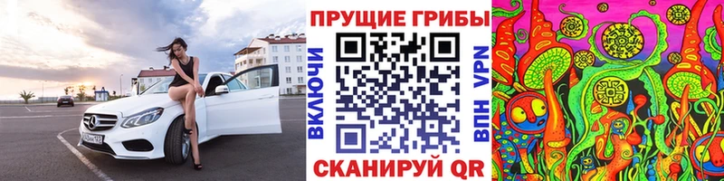 Псилоцибиновые грибы Cubensis Макушино
